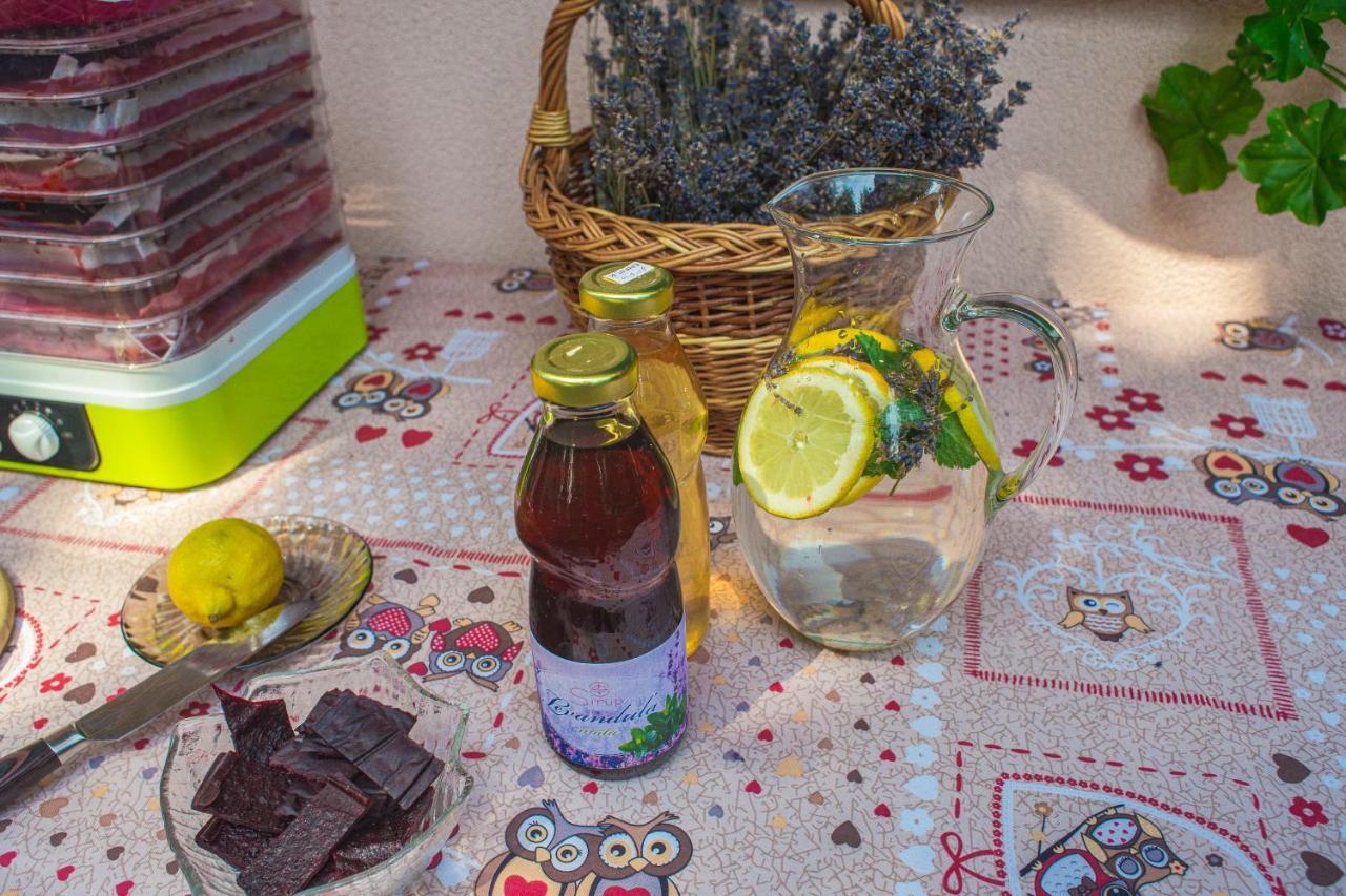 Bungalovy Natura Barsfüss Kültér fotó